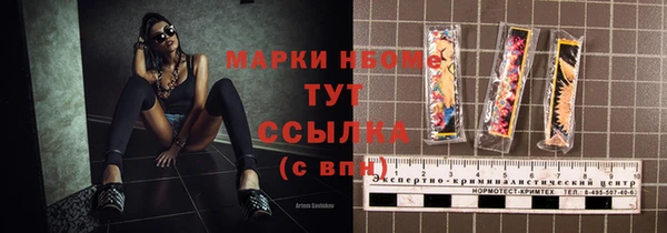 apvp Инсар