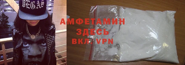 apvp Инсар