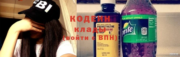метадон Инта