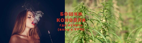 метадон Инта