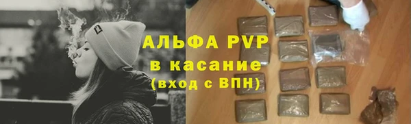 apvp Инсар