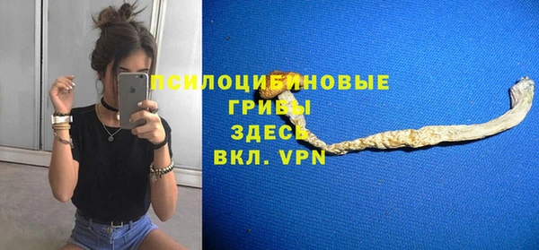 метадон Инта