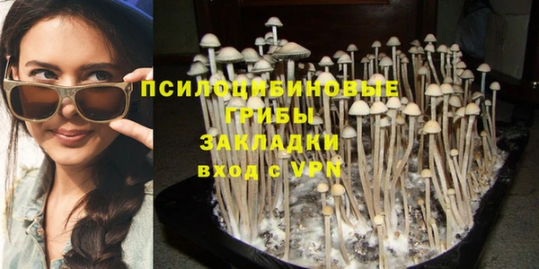 apvp Инсар