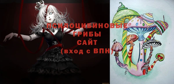 apvp Инсар