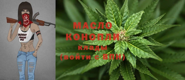метадон Инта